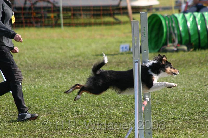 jubil.lusten3 140.jpg